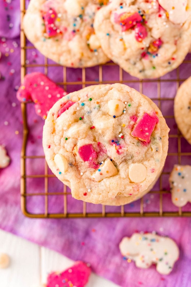 Overhead photo of a stack of circus animal sugar cookies.