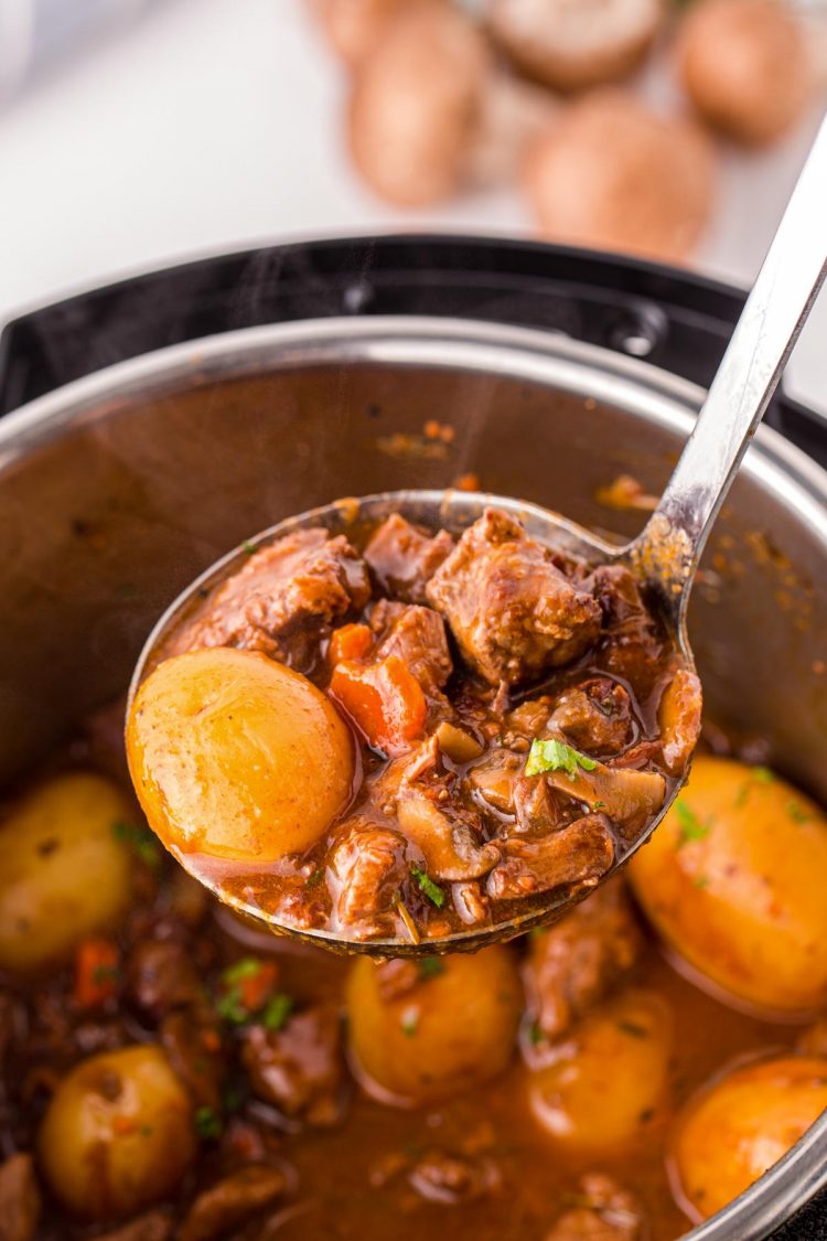 Close up photo of a ladle filled with beef bourguignon in front of an instant pot.