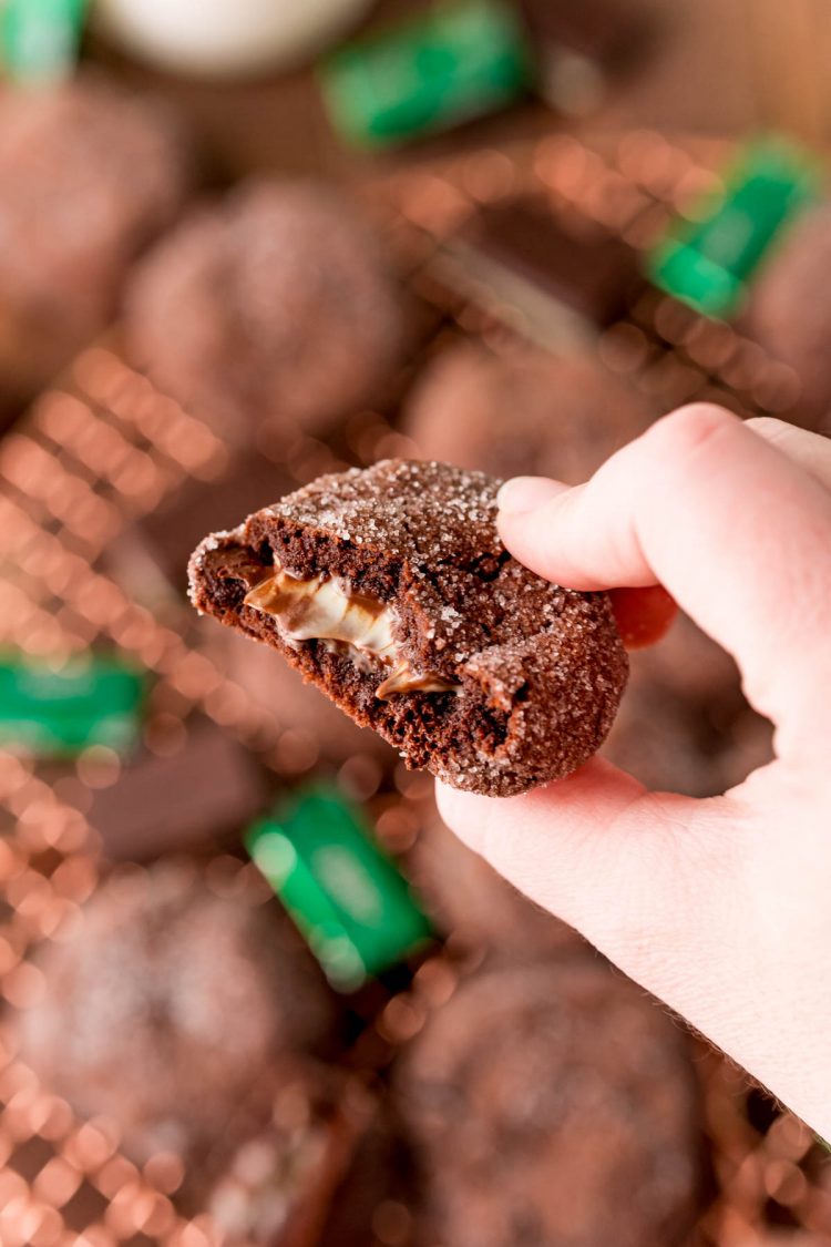 Close up photo of a woman's hand holding a Mint Chocolate Cookies with a bite taken out of it.