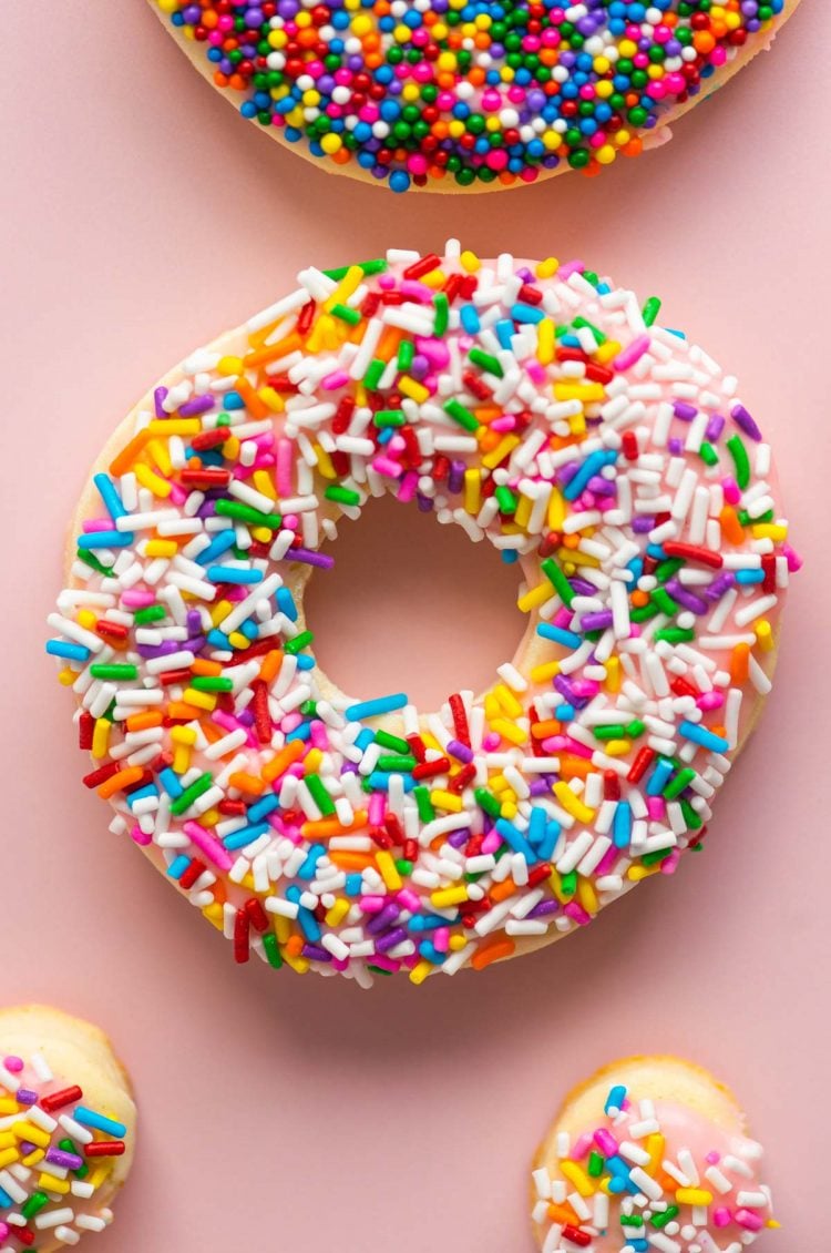 Close up photo of a donut cookie covered in sprinkles.