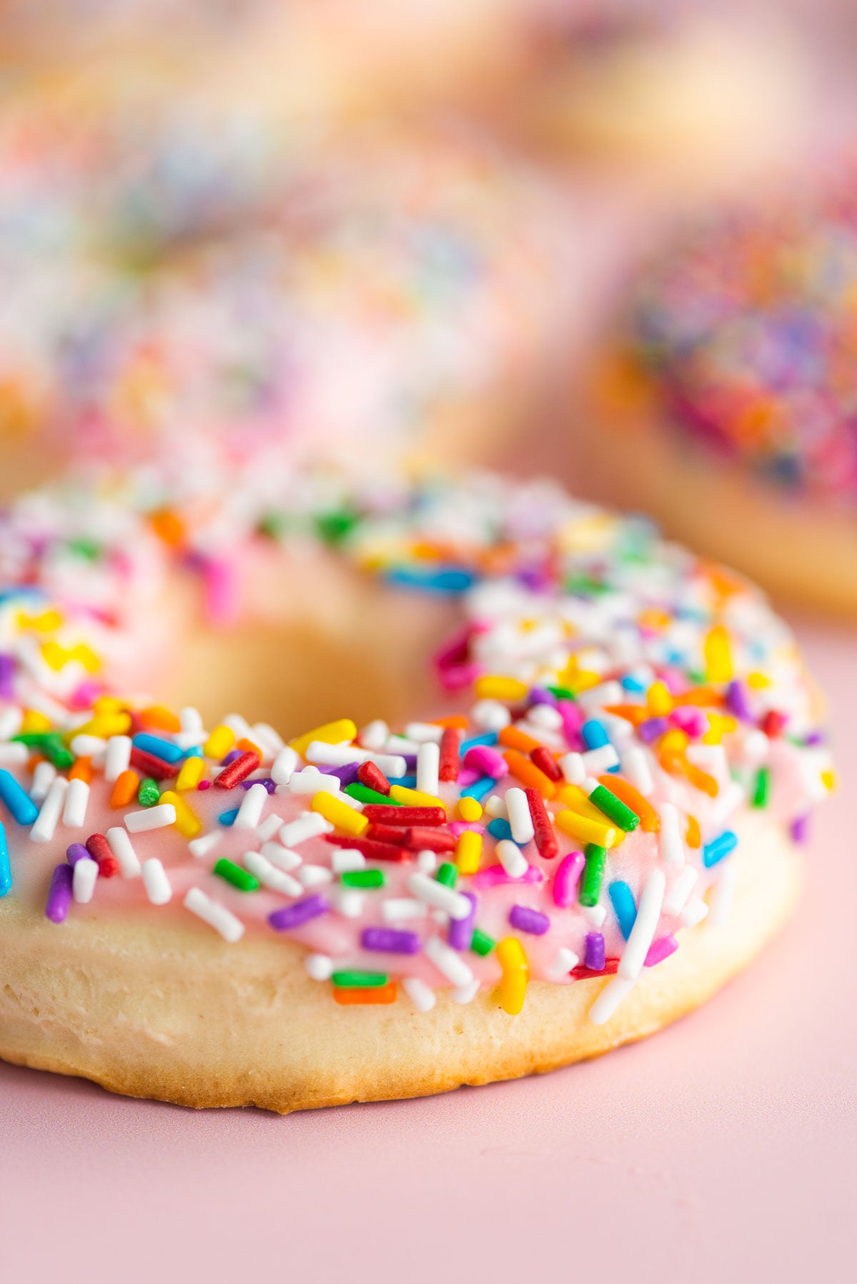 Close up photo of a donut cookie covered in rainbow sprinkles.