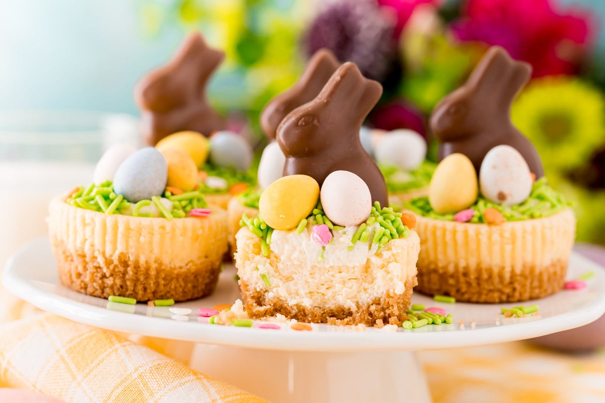 Mini Easter Cheesecakes