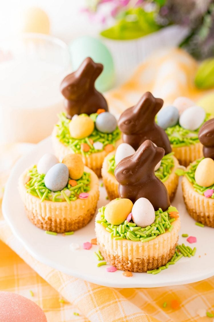 Mini Easter cheesecakes on a white cake stand topped with chocolate bunnies.