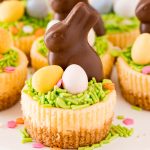 Close up photo of a mini cheesecake topped with green sprinkles, mini cadbury eggs, and chocolate bunny.