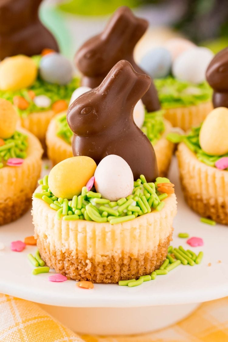 Close up photo of a mini cheesecake topped with green sprinkles, mini cadbury eggs, and chocolate bunny.