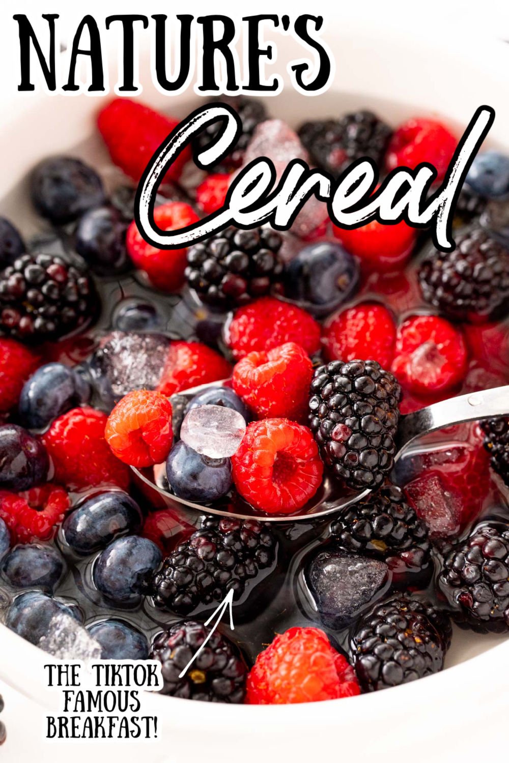 Nature's Cereal is the hottest new (and healthy) TikTok trend that's taking the world by storm! Made with fresh berries, coconut water, and ice - it's super refreshing and flavorful! via @sugarandsoulco