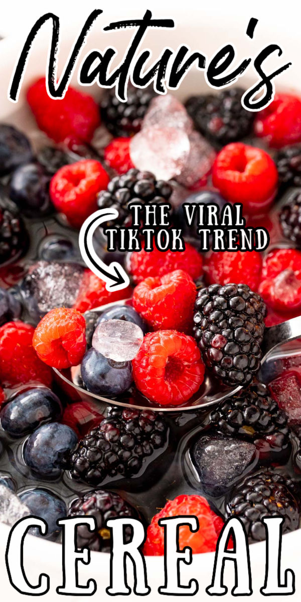 Nature's Cereal is the hottest new (and healthy) TikTok trend that's taking the world by storm! Made with fresh berries, coconut water, and ice - it's super refreshing and flavorful! via @sugarandsoulco