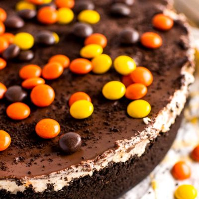 Close up photo of a no bake peanut butter cheesecake topped with Reese's Pieces.