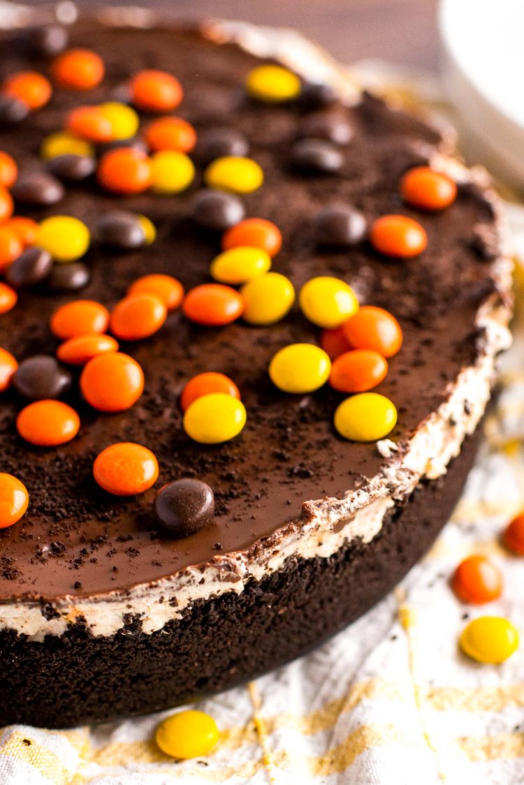 Close up photo of a no bake peanut butter cheesecake topped with Reese's Pieces.