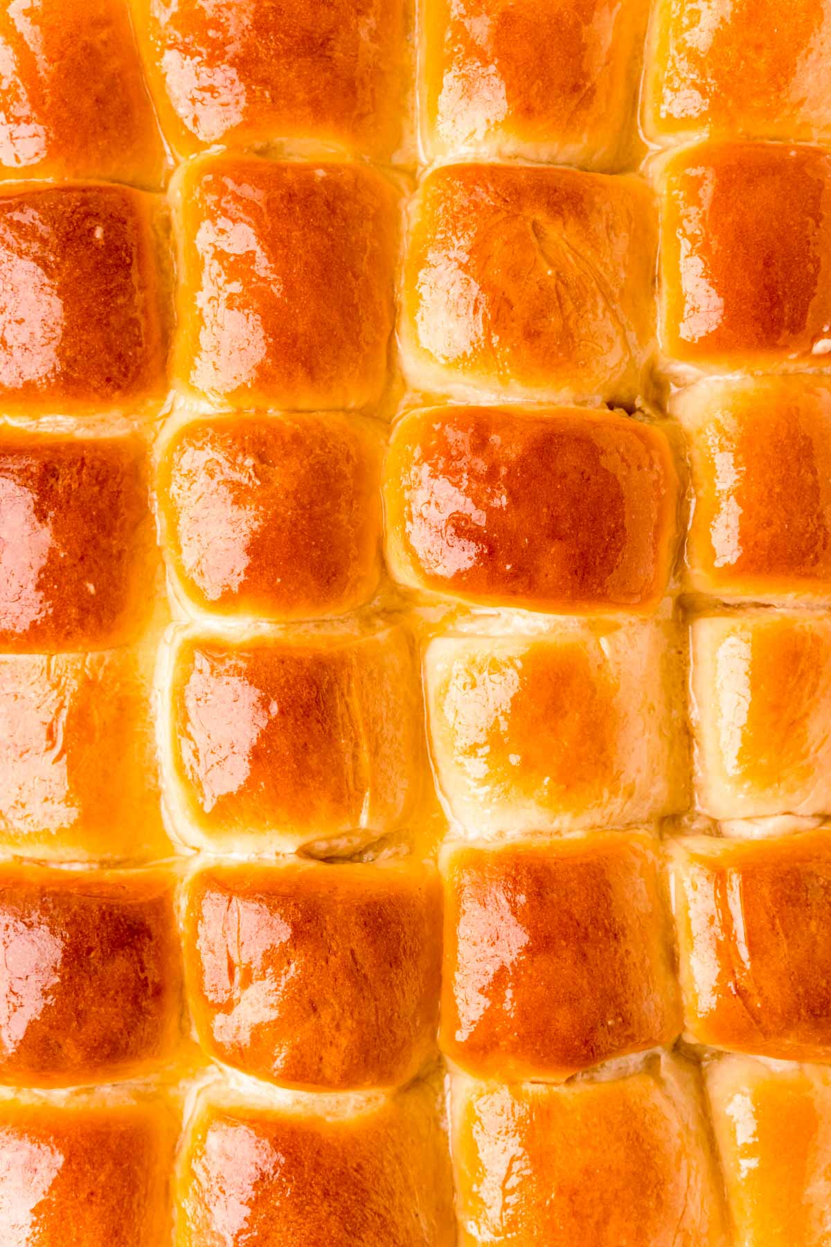 Overhead photo of a pan of dinner rolls that have been brushed with butter.