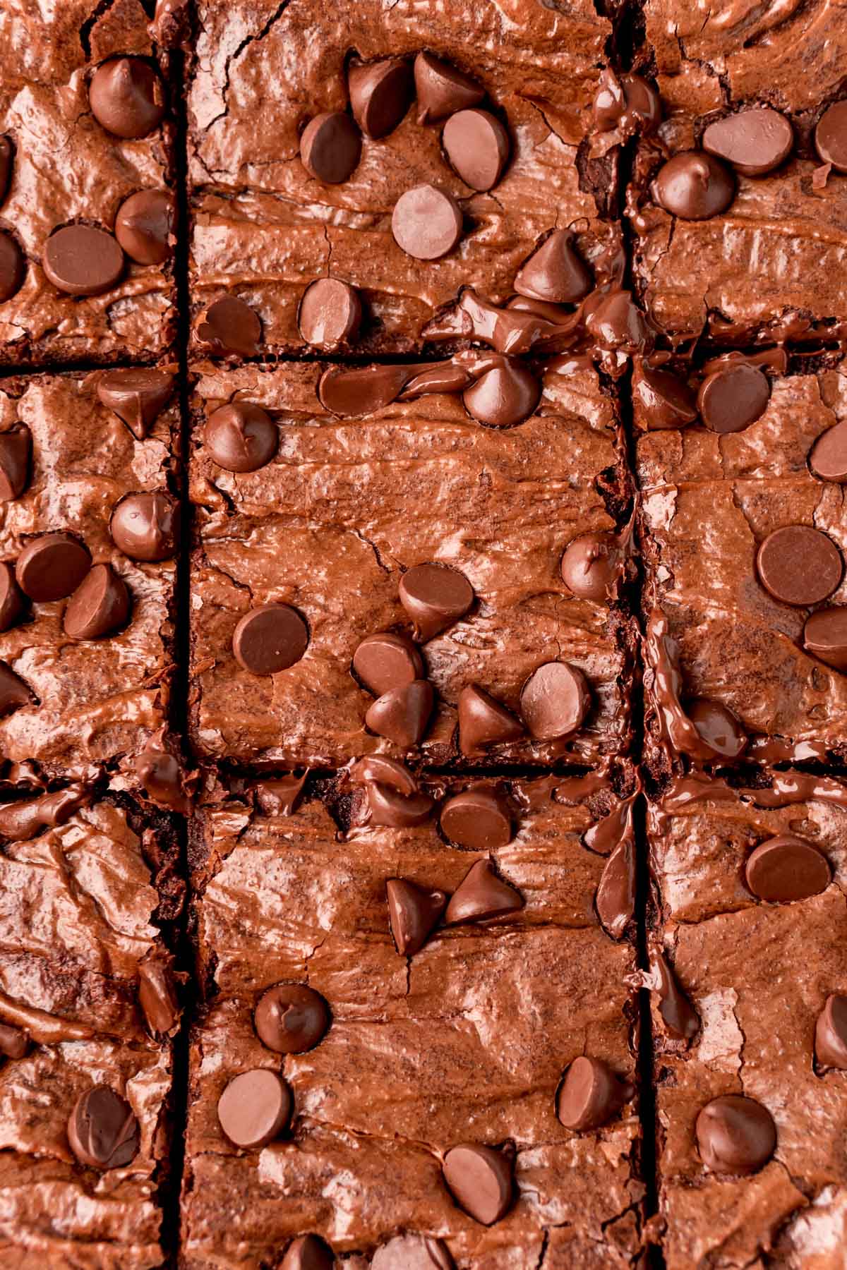 Flourless brownies with chocolate chips sliced in a pan.