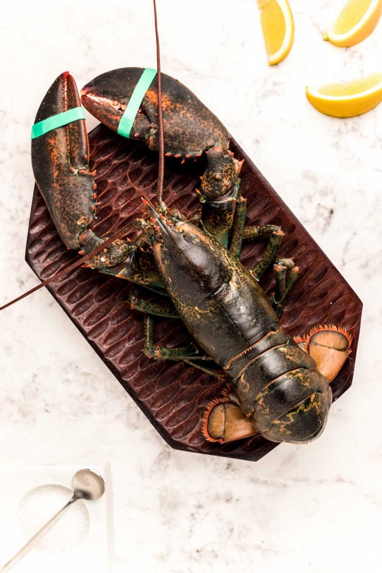 Overhead photo of a live lobster on a cutting board ready to be cooked.