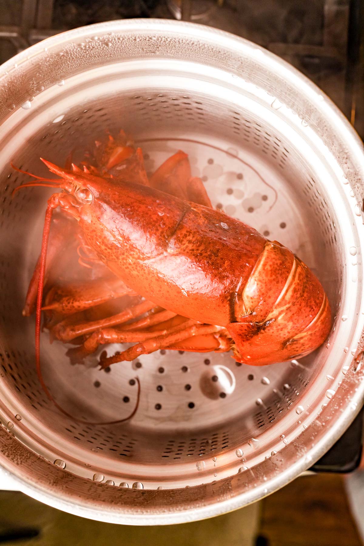 How To Steam Lobster Sugar and Soul