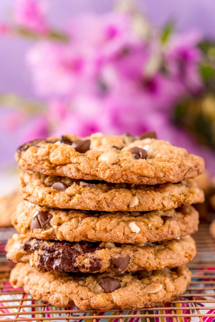 Straight on photo of a stack of five ranger cookies.