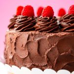 Close up photo of a dark chocolate cake topped with raspberries.
