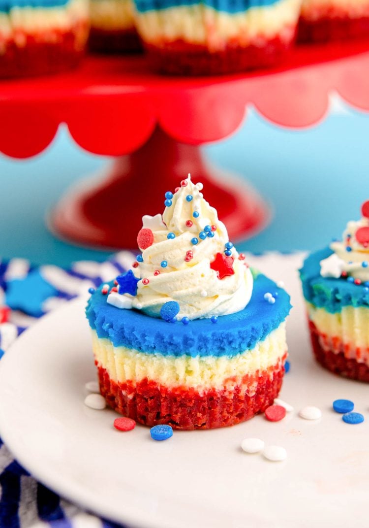 Close up photo of 4th of July mini cheesecakes on a white plate with sprinkles around them.