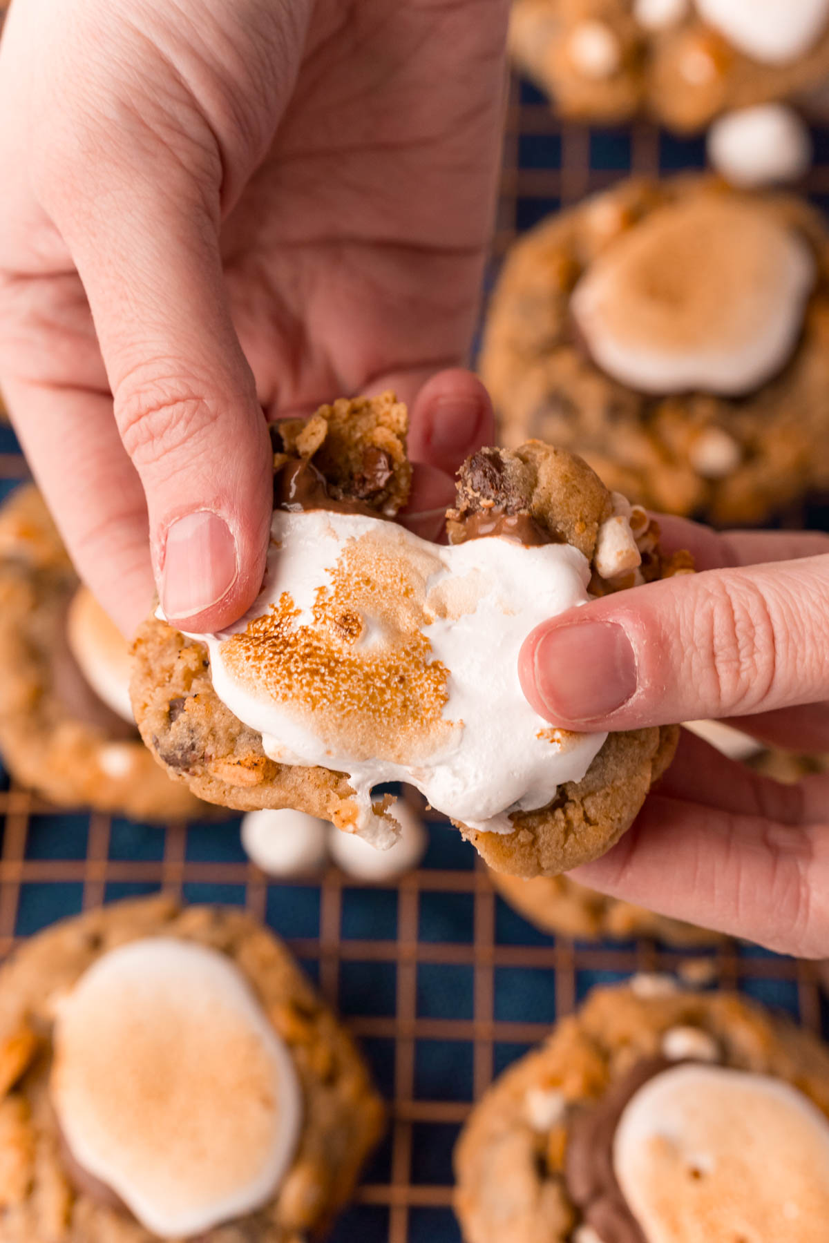 S'mores Thumbprint Cookies (Just 5 Ingredients) Sugar and Soul