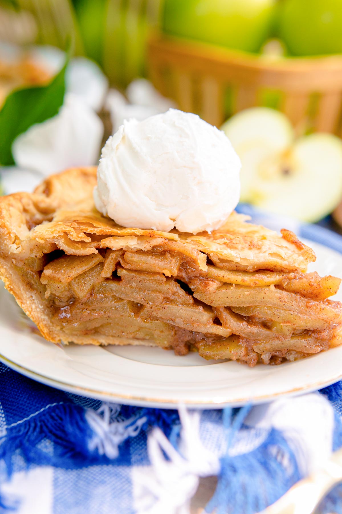 Close up photo of a slice of apple pie on a blue and white checkered napkin.