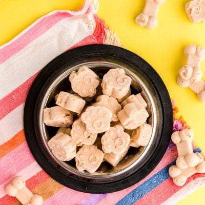 Overhead photo of frozen dog treats in a dog bowl on a striped napkin.