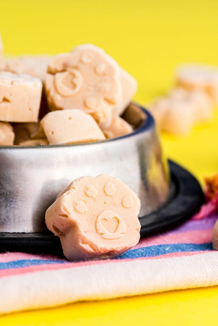 Close up photo of frozen dog treats in a dog dish.