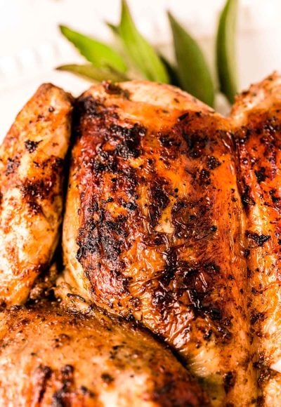Close up photo of a spatchcock grilled chicken.