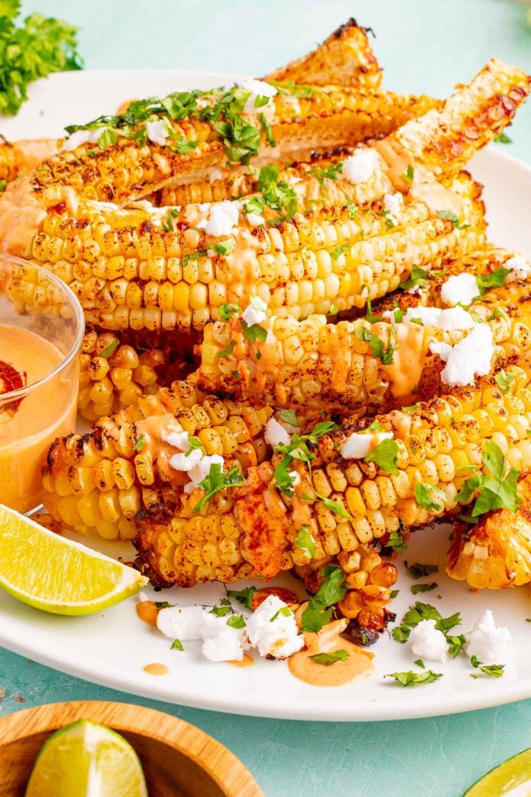 Close up photo of a large white plate with corn ribs on it on a teal surface.