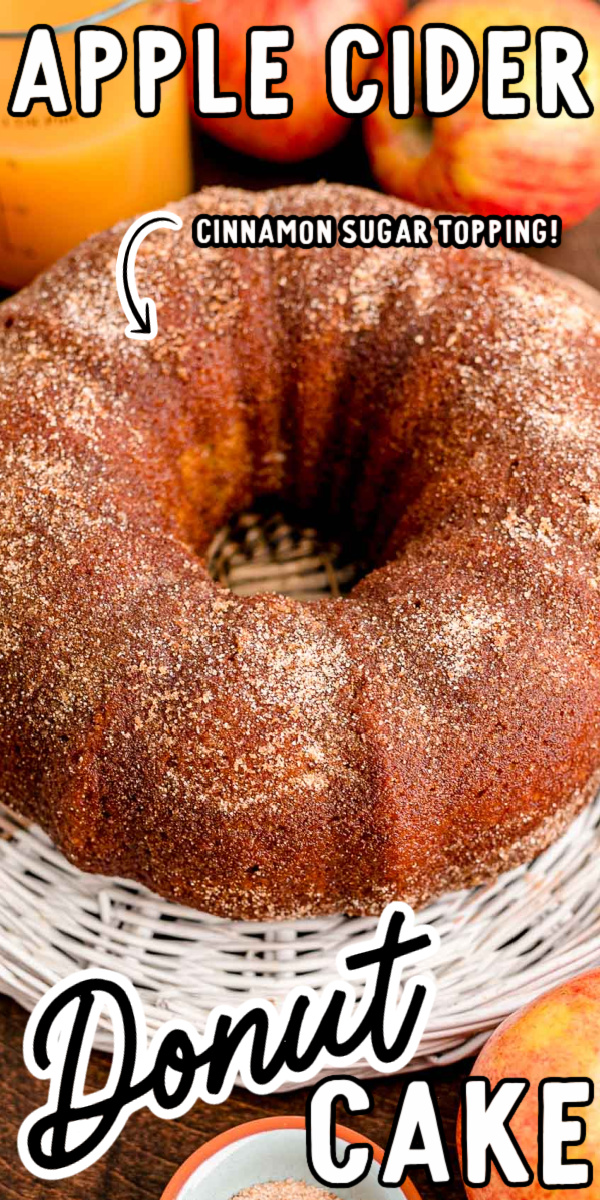 Apple Cider Donut Cake combines easy ingredients with apple sauce, shredded apples, and apple cider to create a tasty seasonal Bundt cake! Cover it with a cinnamon-sugar topping or a sweet apple cider glaze! via @sugarandsoulco