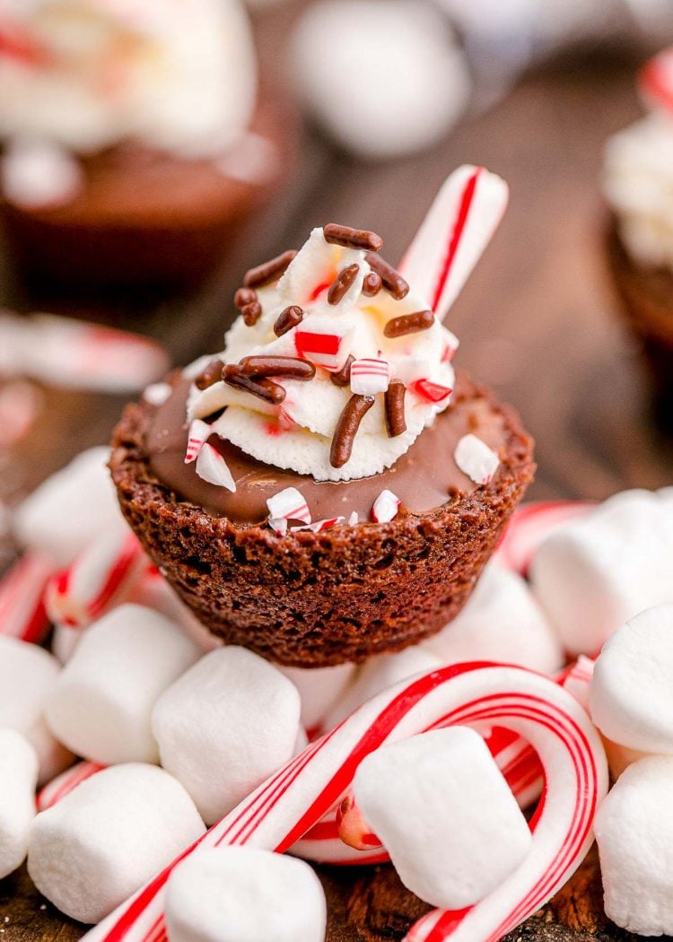 Close up photo of hot chocolate brownie bite on a mound of mini marshmallows and candy canes.