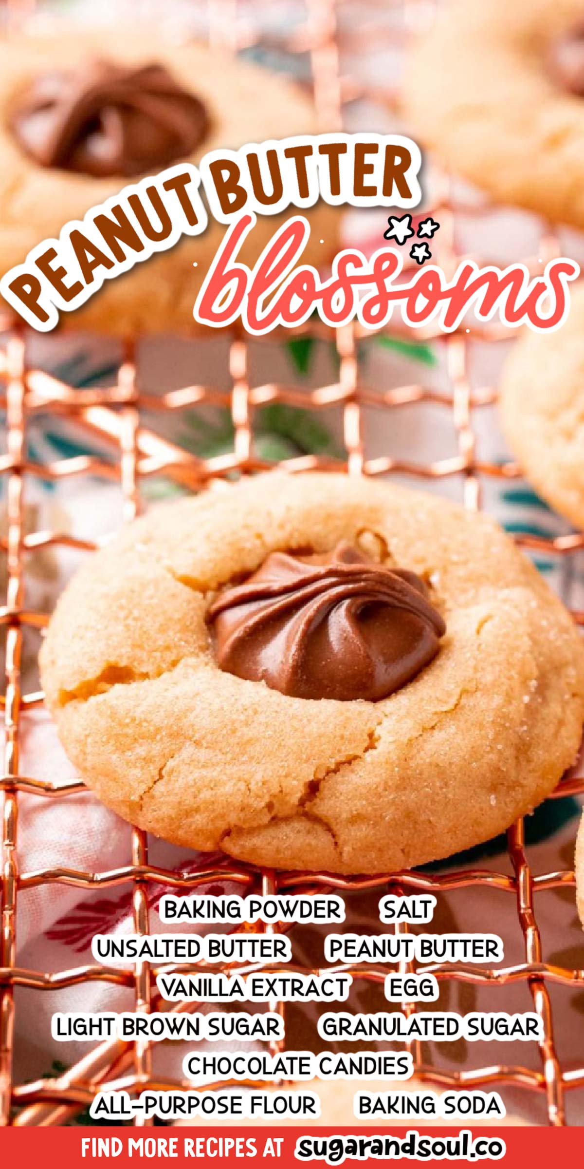 Peanut Butter Blossoms are a classic peanut butter cookie recipe everyone loves. Chocolate candy is nestled in the center of a chewy sugar-coated cookie for an easy and delicious dessert! via @sugarandsoulco