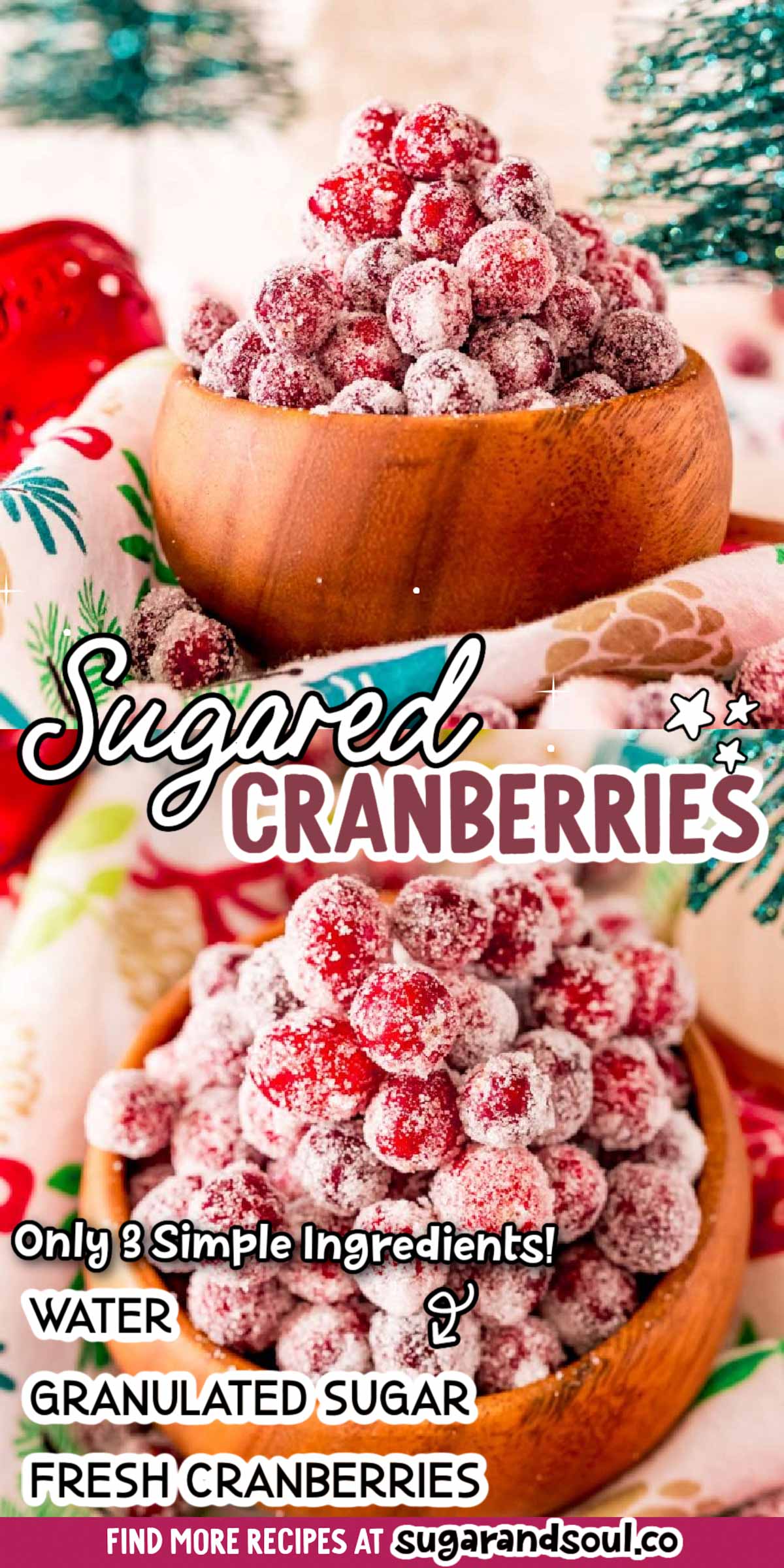 These Sugared Cranberries are so festive and easy to make right at home with just 3 ingredients! They can make any Christmas and Thanksgiving dessert or drink look impressive!!! via @sugarandsoulco
