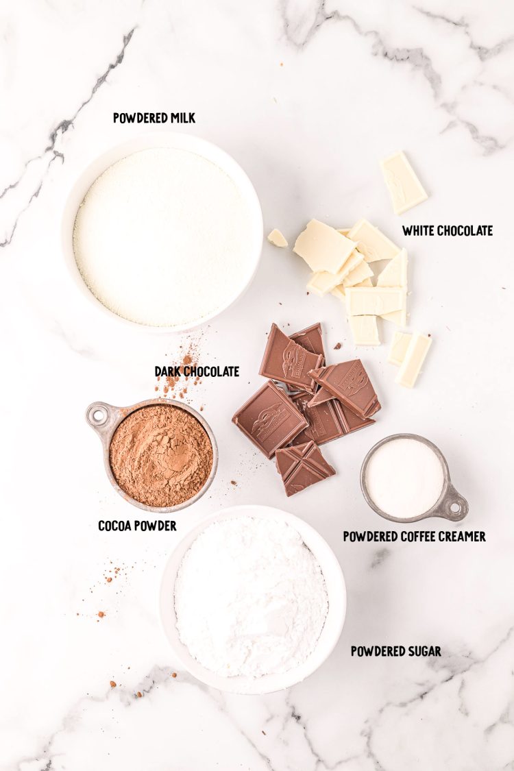 Overhead photo of ingredients prepped on a marble counter to make homemade hot chocolate mix.