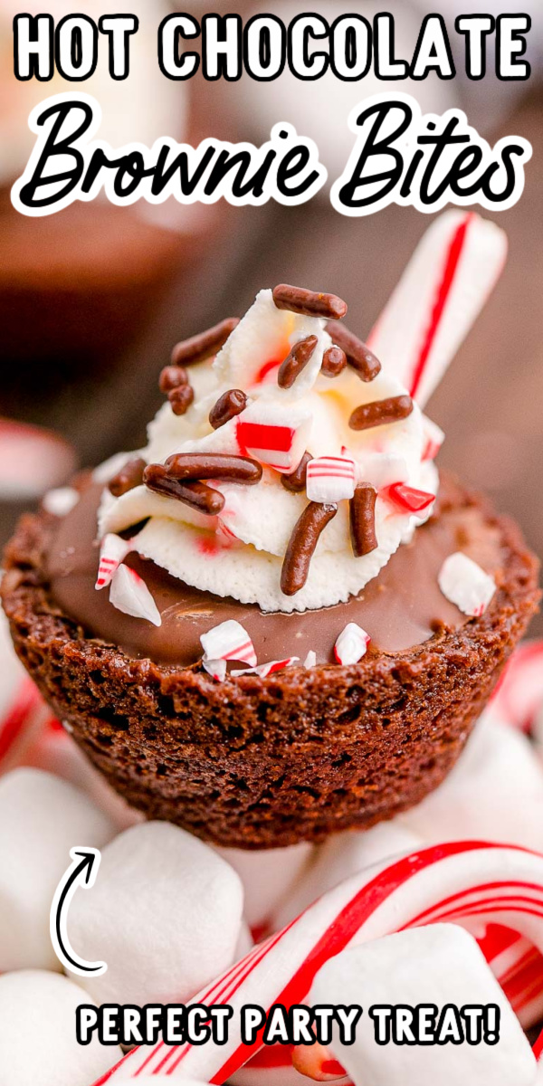 Hot Chocolate Brownie Bites are made with your favorite boxed brownie mix, chocolate kisses, and a 3-ingredient stabilized whipped cream! via @sugarandsoulco