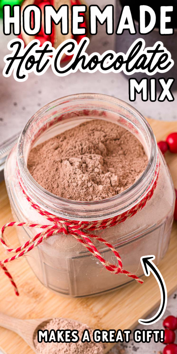 This Homemade Hot Chocolate Mix is made with only 6 ingredients in just 5 minutes to create a mix that's great for snow days or gift giving! via @sugarandsoulco