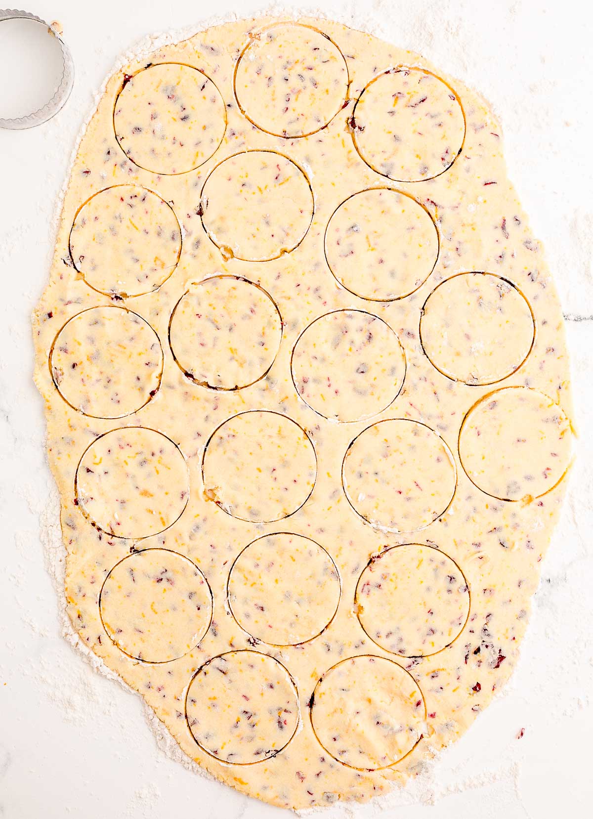 Cranberry orange cookie dough rolled out onto a floured surface and cut with round cookie cutters.