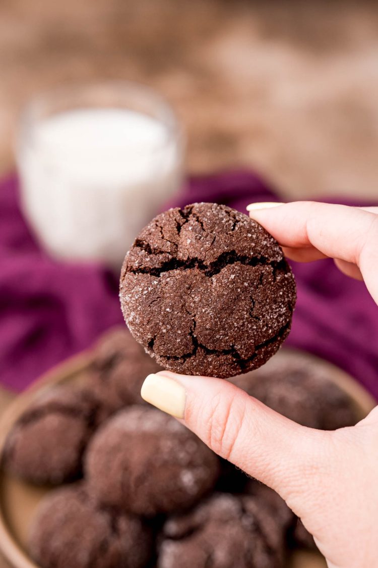 A woman's hand holding a chocolate sugar cookie to the camera.