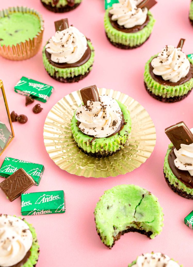 Mini mint oreo chocolate cheesecakes on a pink surface with andes mint candies around them.