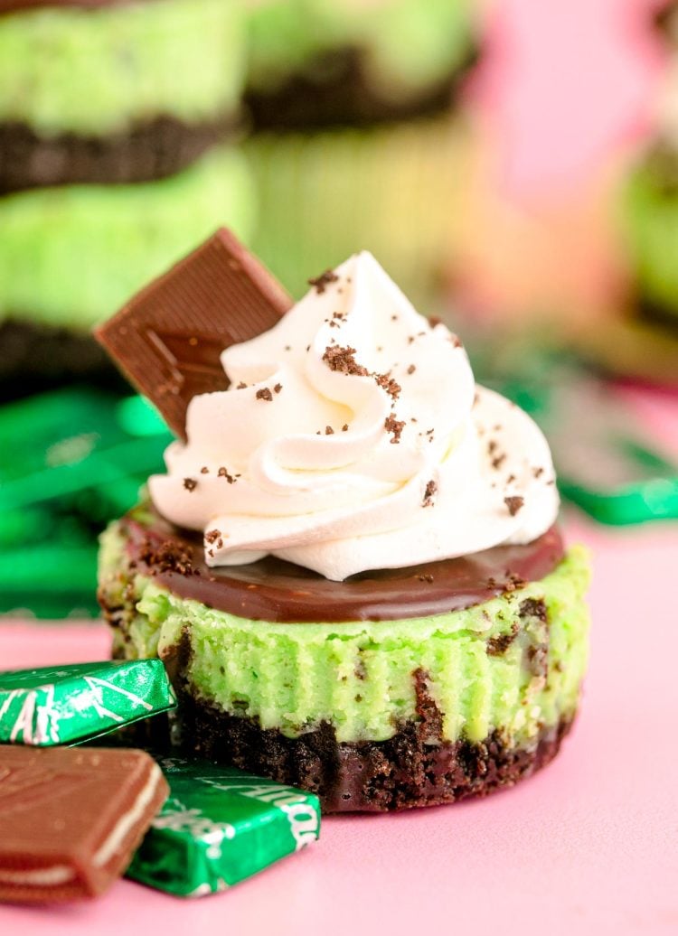 Mini Oreo Mint cheesecakes on a pink surface with mint candies around them.