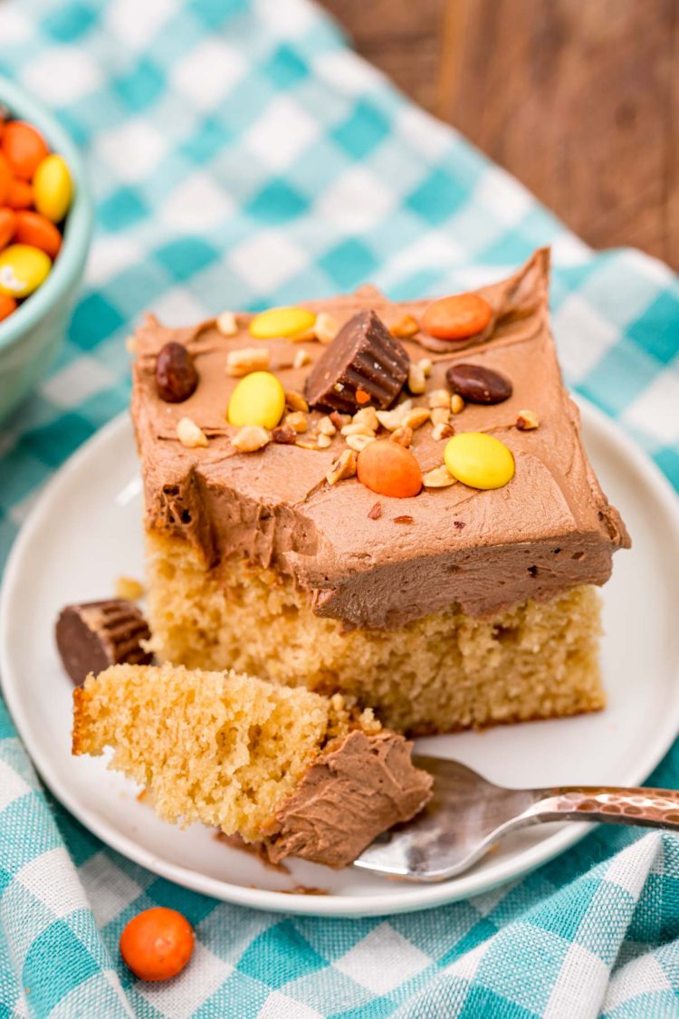 A slice of peanut butter cake on a white plate with a fork taking a bite out of it.