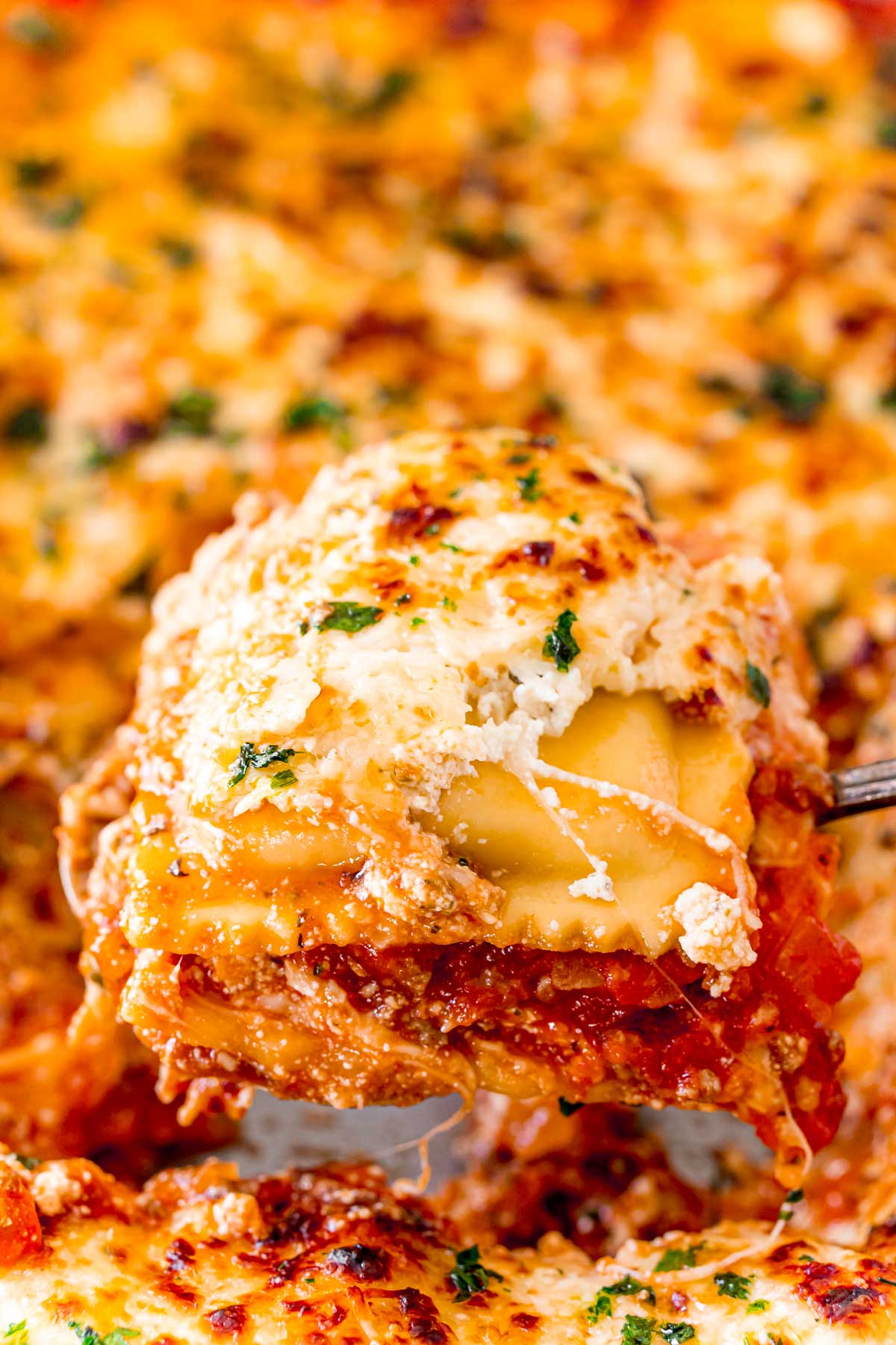 Ravioli lasagna being scooped out of a pan.