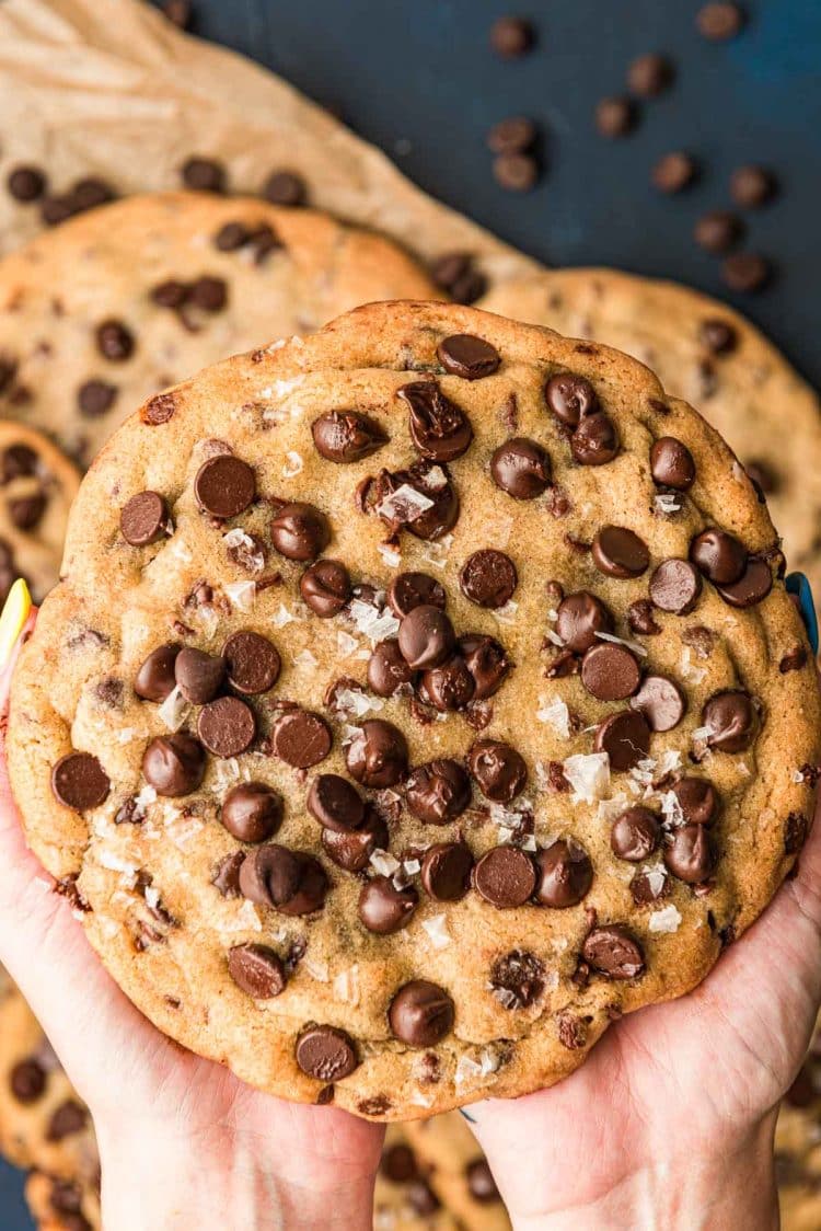 A woman's hands holding a giant chocolate chip cookies.