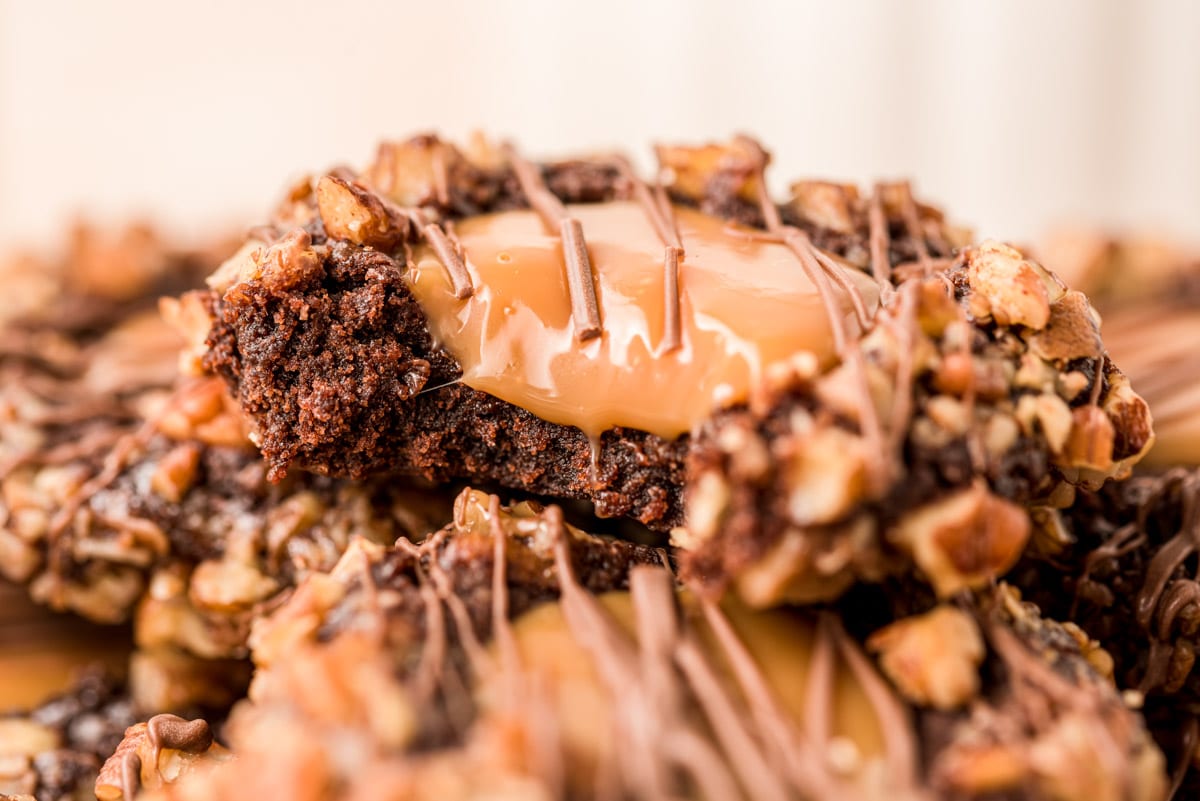 Close up of a turtle cookies with a bite taken out of it.