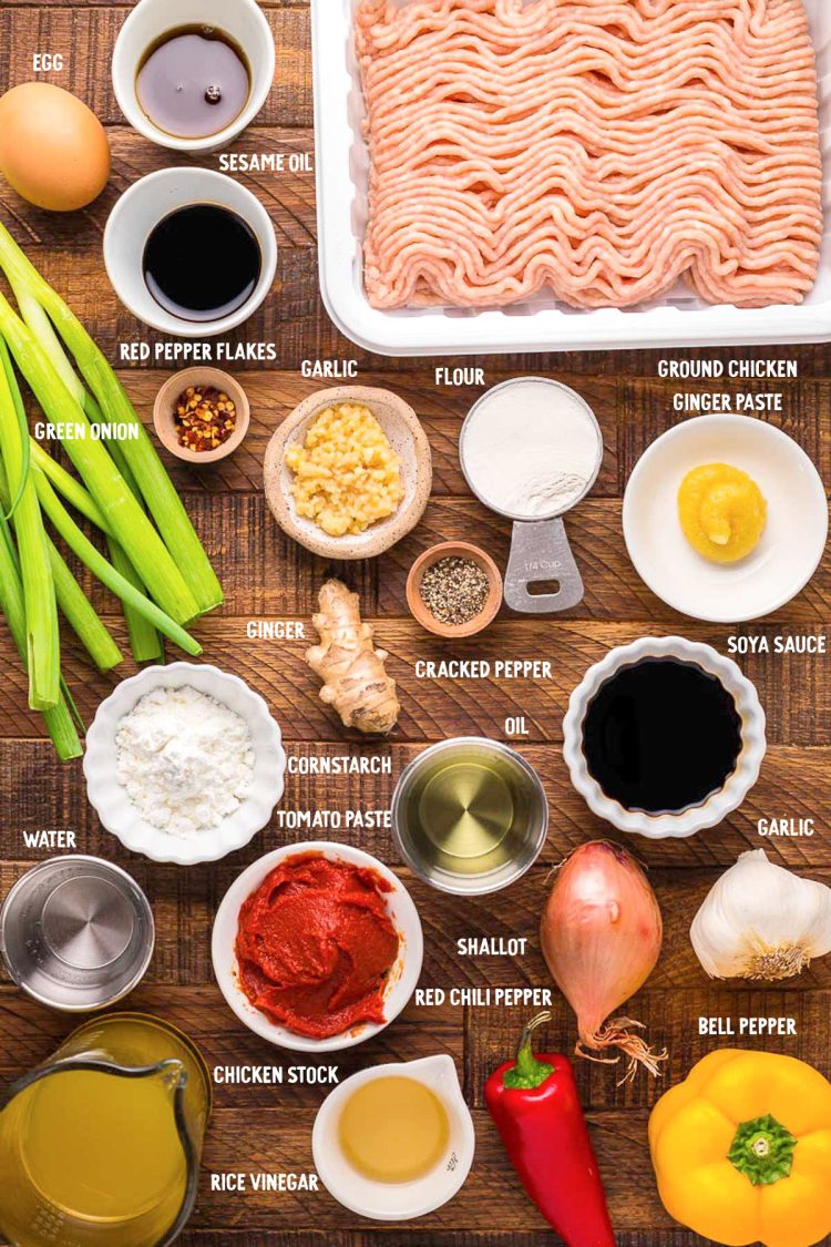 Ingredients to make chicken manchurian from scratch.