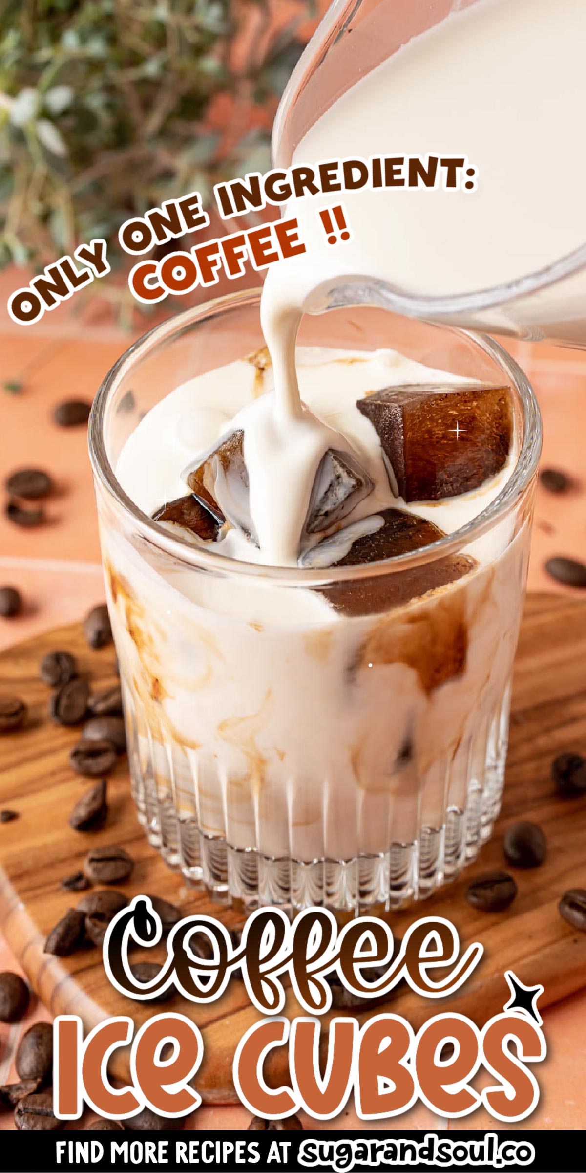 Coffee Ice Cubes are the best way to keep your favorite cup of iced coffee perfectly cold without watering it down!  via @sugarandsoulco