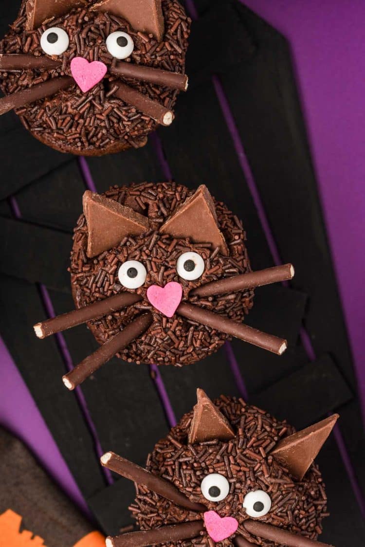 Overhead photo of three chocolate black cat cupcakes on a black and purple surface.