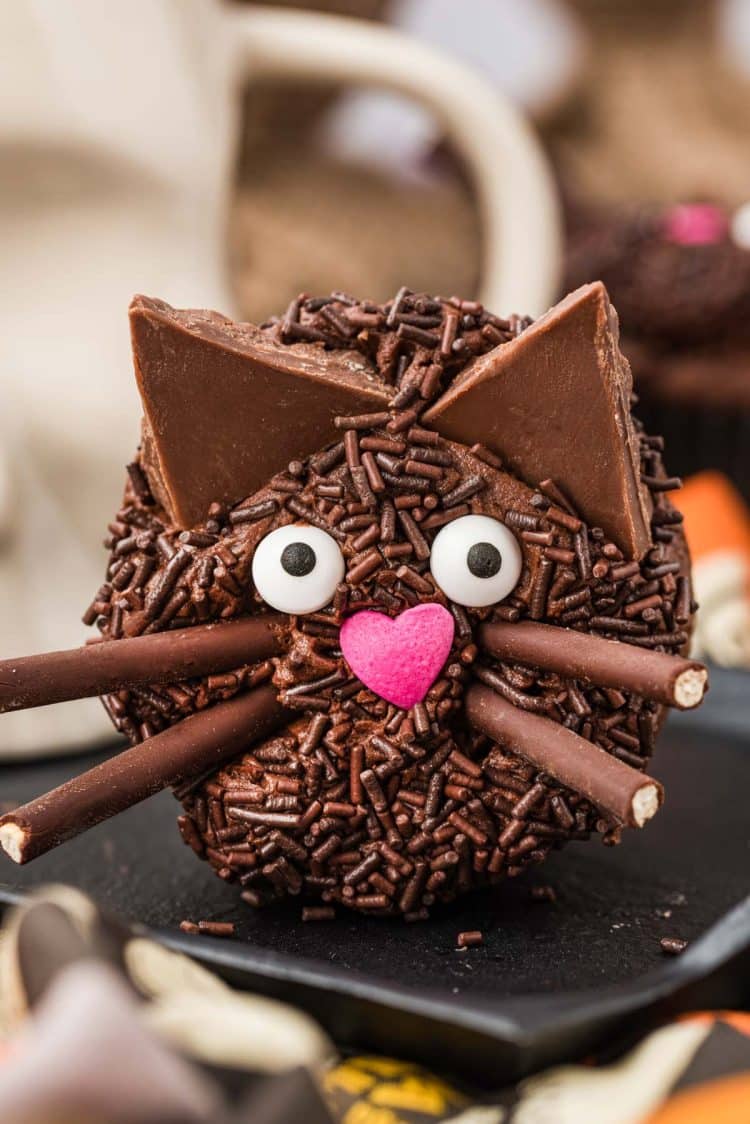 Black cake cupcake on it's side showing the face, whiskers, and ears.