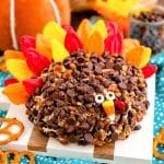 A dessert cheeseball decorated like a turkey on a white and wood cutting board.