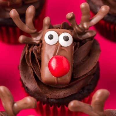 Close up of chocolate cupcakes decorated like reindeer.