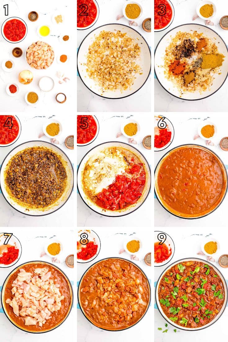 Step by step photo collage showing how to make Madras curry from scratch.