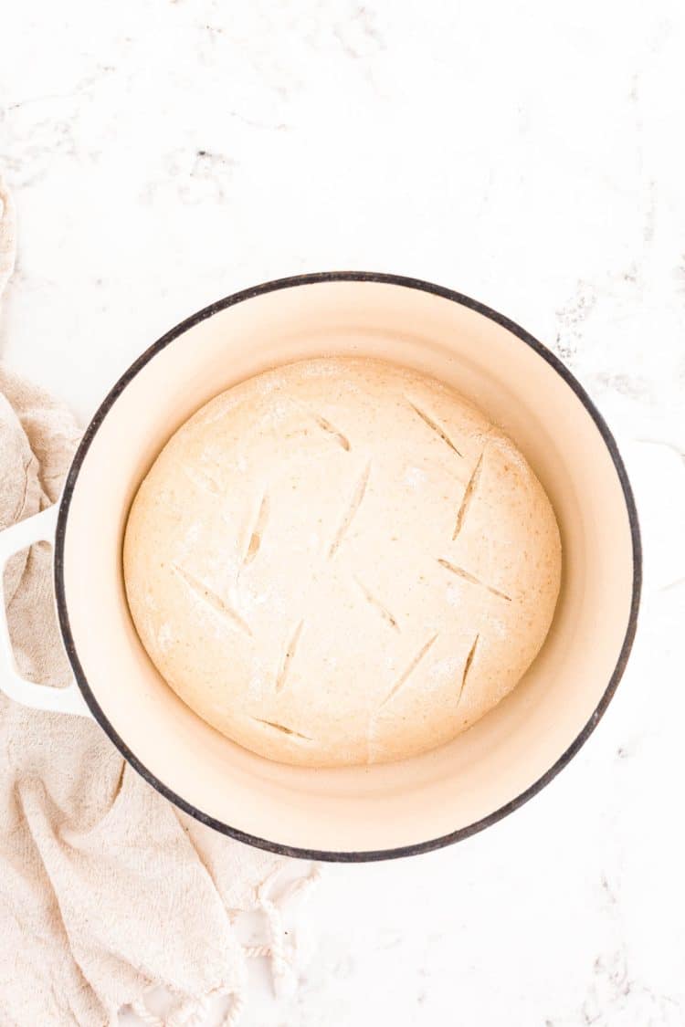 Sourdough bread dough scored in a Dutch oven ready to bake.