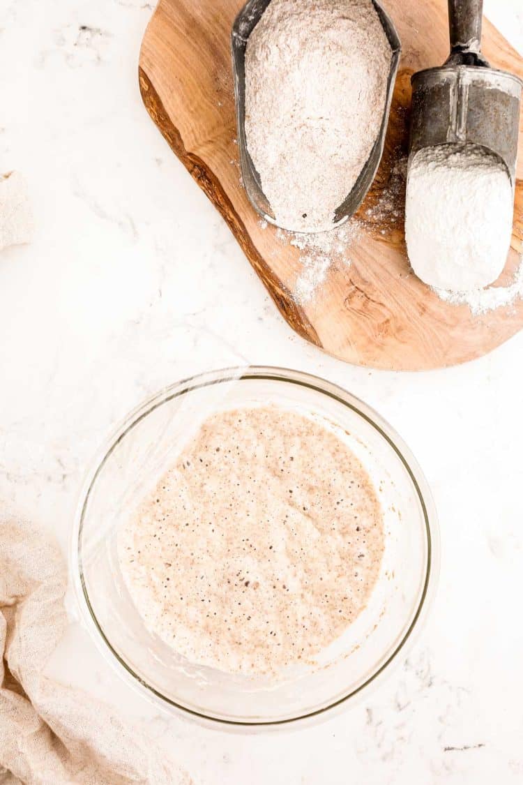 A sourdough starter on day 3 or 4.